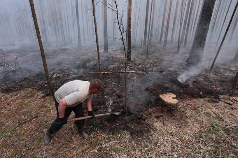 Лесные пожары в Режевском городском округе Свердловской области