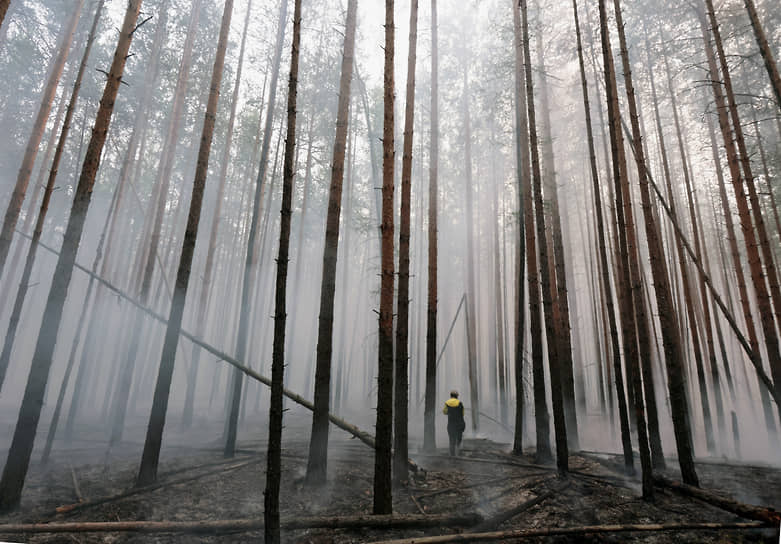 Волонтеры работают над устранением последствий пожара в Режевском городском округе Свердловской области