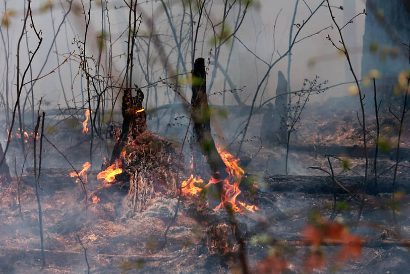 Лесные пожары в Режевском городском округе Свердловской области