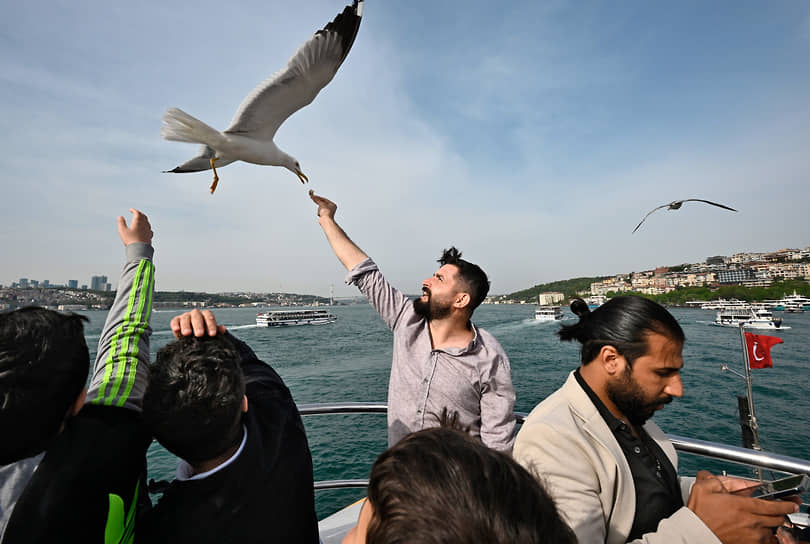 Стамбул, Турция. Туристы кормят чаек с корабля 