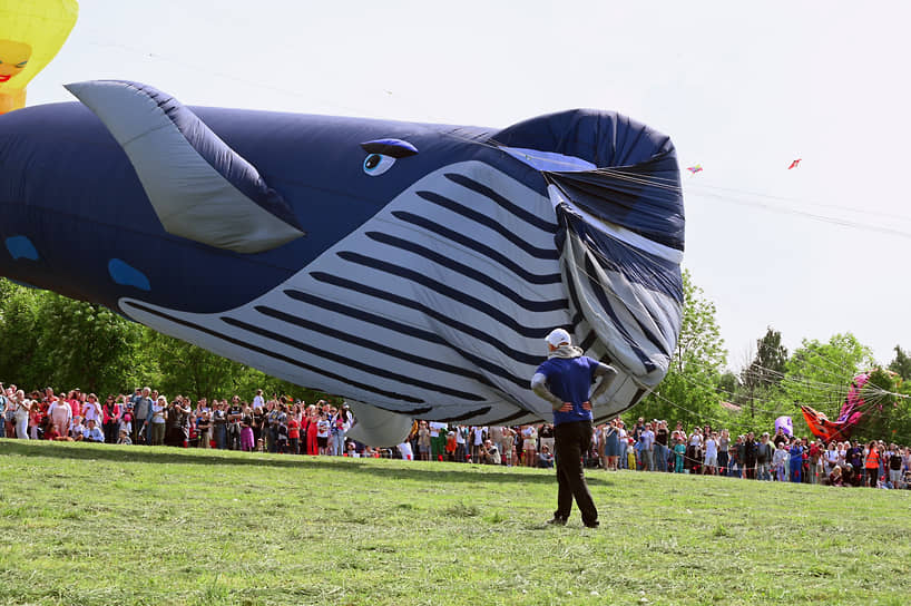 Кульминацией фестиваля считается запуск самого большого воздушного змея в стране — тридцатиметрового кита