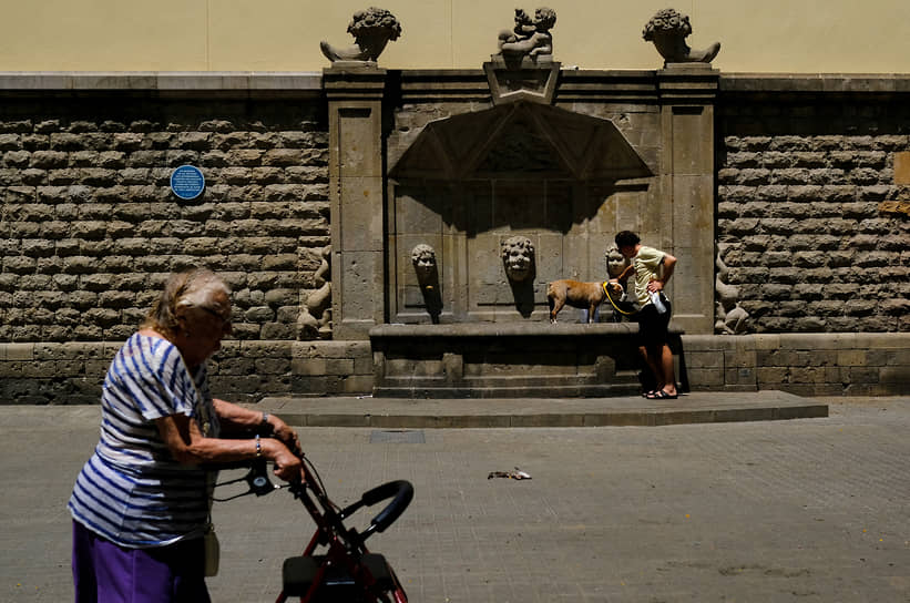 Барселона, Испания. Местный житель поит собаку во время жары