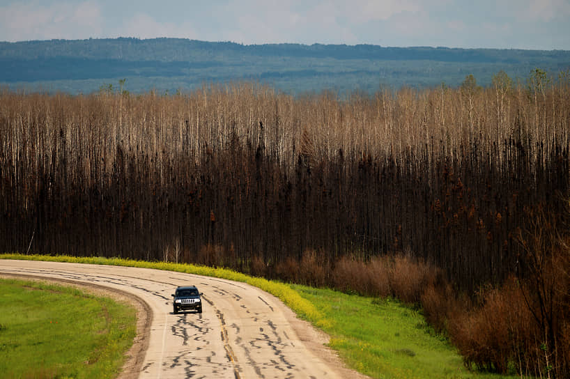 Метис Ист-Прери, Канада. Автомобиль проезжает мимо обгоревших деревьев