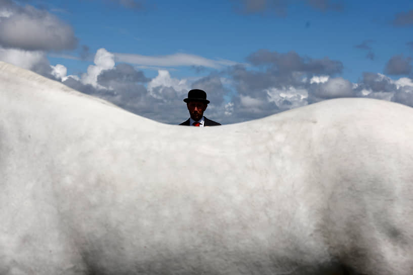 Раундстоун, Ирландия. Судья наблюдает за ходом соревнований на выставке коннемарских пони в графстве Голуэй 