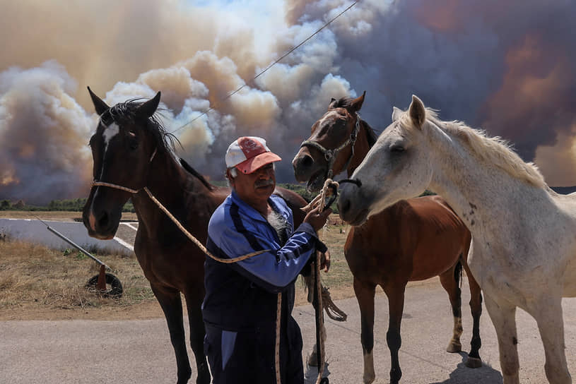 Пурнари, Греция. Мужчина уводит лошадей от лесного пожара