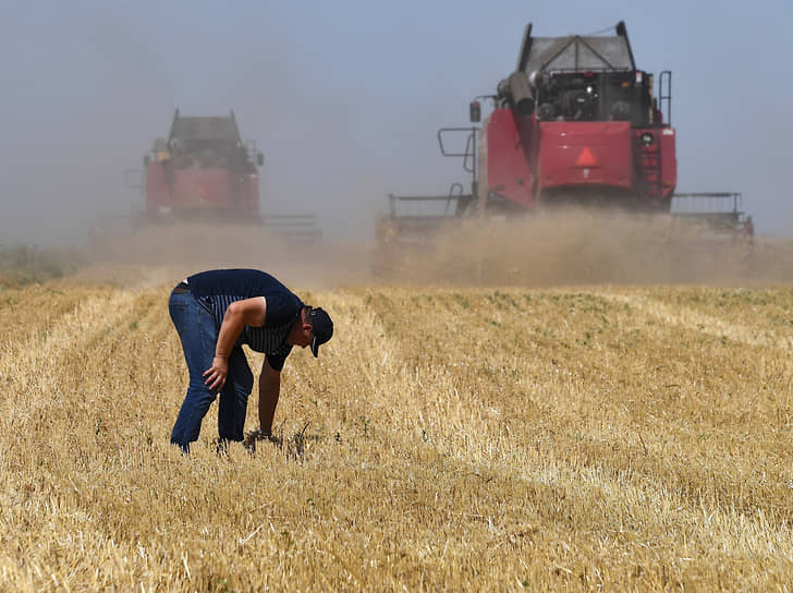 Уборка зерновых культур в Крыму