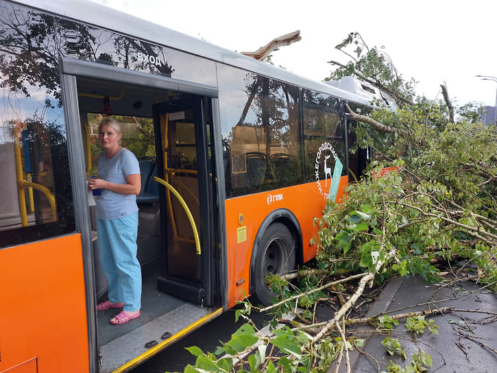 В Нижнем Новгороде дерево упало на автобус 
