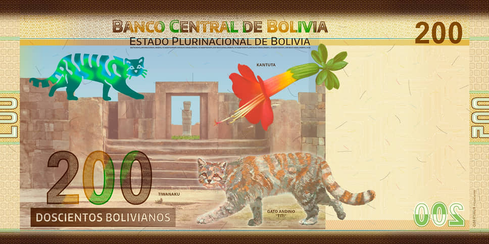 В Боливии на купюре самого крупного номинала — 200 боливиано — изображена андская кошка. Она считается самым редким видом кошачьих в Южной Америке