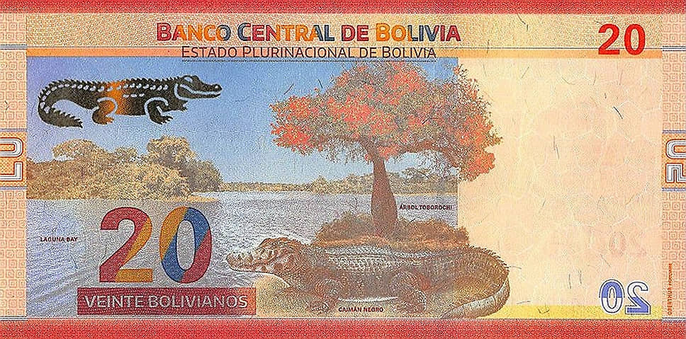На 20 боливиано изображена одна из крупнейших современных рептилий — черный Кайман. Купюра находится в обращении с 2018 года