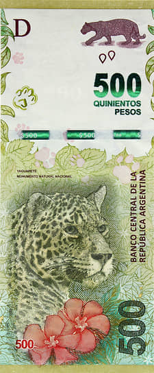 В Аргентине на лицевой стороне купюры в 500 песо изображен взрослый амазонский ягуар, а на задней — его детеныш