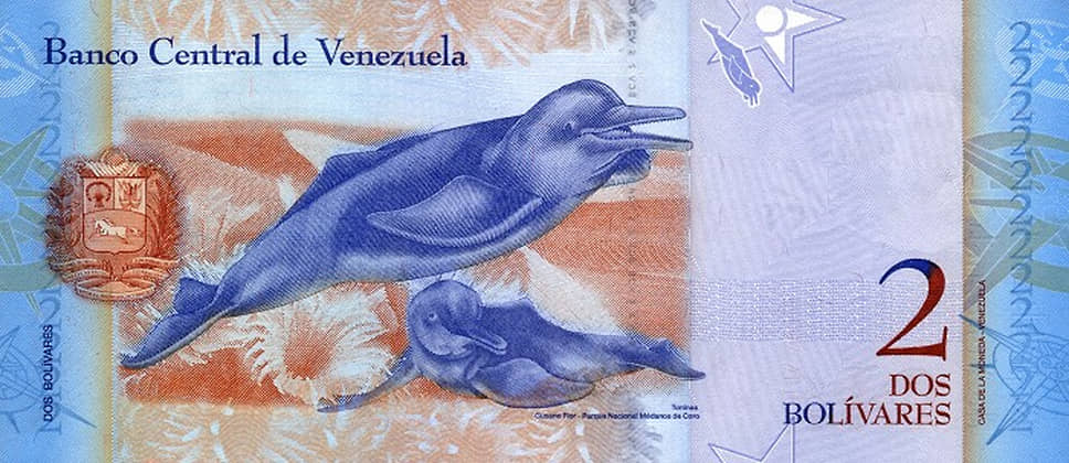 В марте 2007 года в Венесуэле амазонский дельфин появился на банкноте номиналом 2 боливара, но в октябре 2016 года из-за галопирующей инфляции купюры перевыпустили и млекопитающее перенесли на 500 боливар