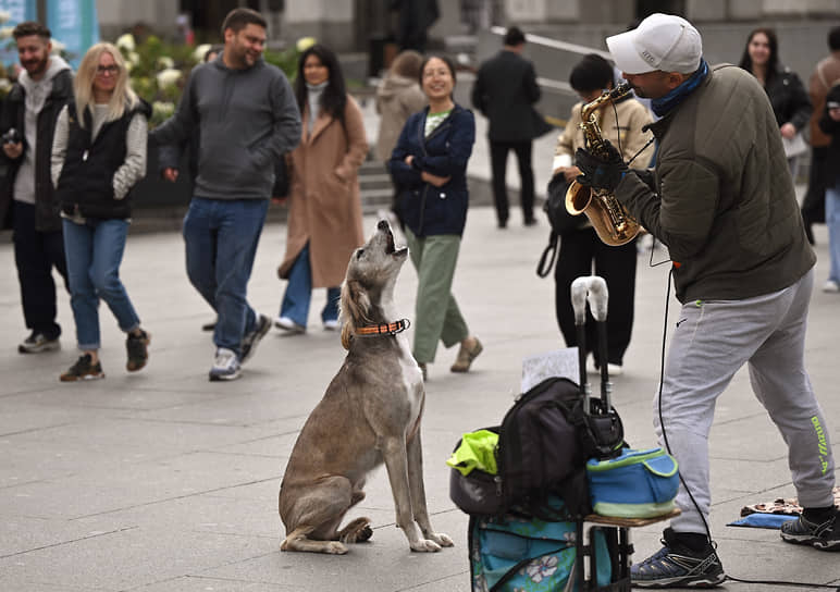 Москва. Выступление уличного музыканта с собакой