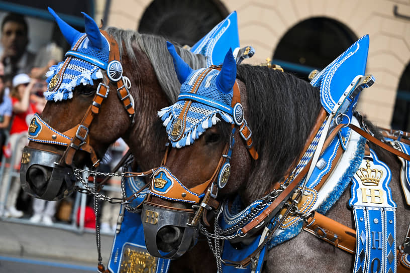 Празднично украшенные лошади на параде «Октоберфеста»