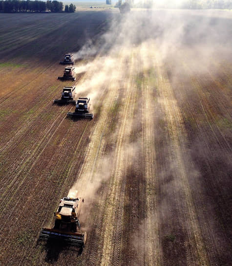 Новосибирская область. Комбайны собирают урожай пшеницы