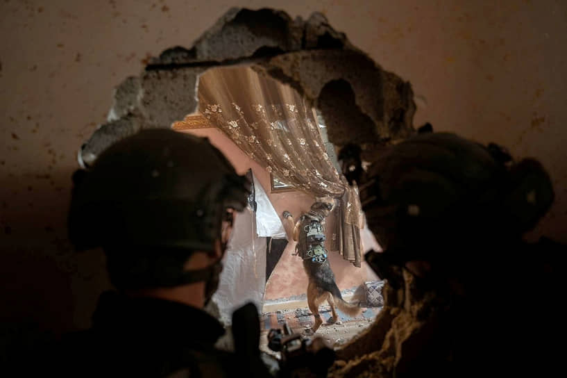 Израильские солдаты наблюдают за военной собакой, действующей в секторе Газа