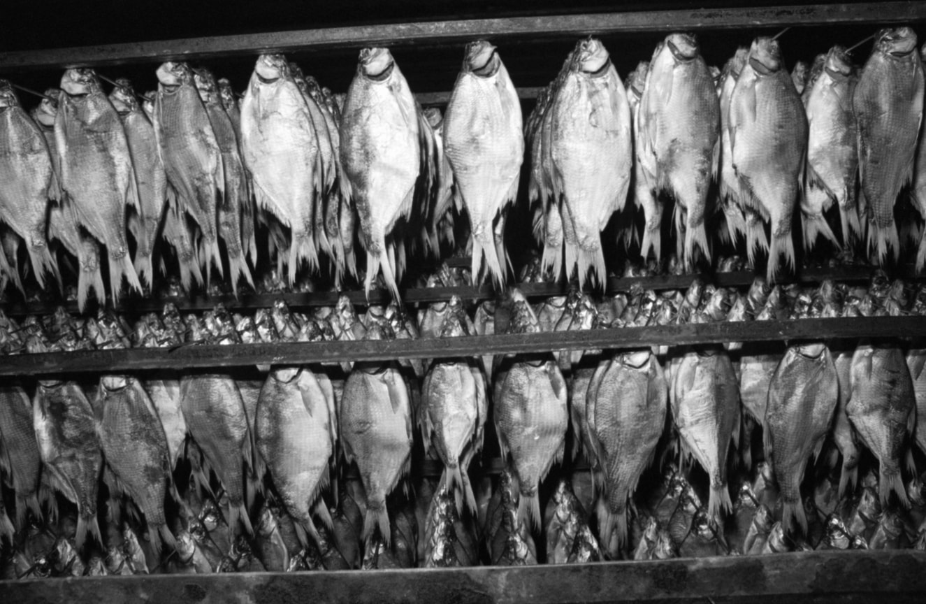 «Астрахань дает больше половины всей рыбной продукции... Рыба — дефицитный товар. Рыба — валютная ценность»