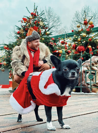 Москва. Собака в новогоднем костюме