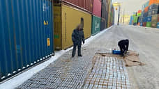 В петербургской гавани причалил кокаин
