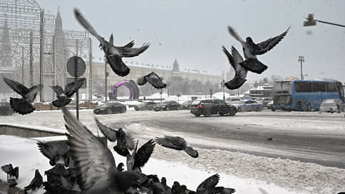 Сугробы в Москве стремятся к рекорду // Как столица переживает очередной снегопад