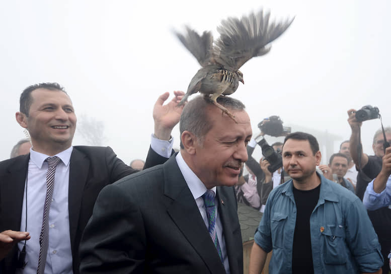 На церемонии награждения «Высшим орденом Тюркского мира»: «Нас 52 года заставили страдать у дверей ЕС. Все еще продолжают делать одно и то же. Но мы ответим, когда придет время» &lt;br>
На фото: тетерев сел на президента Турции Реджепа Тайипа Эрдогана во время посещения фермы в Ризе, август 2015 года