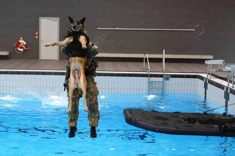Кальв, Германия. Военнослужащий прыгает со служебной собакой во время тренировки