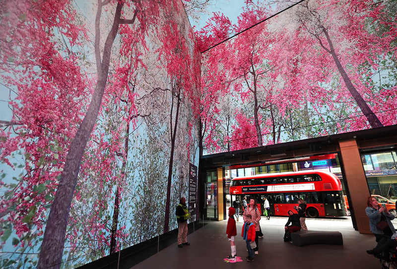 Лондон, Великобритания. Люди смотрят иммерсивную выставку на тему весеннего цветения