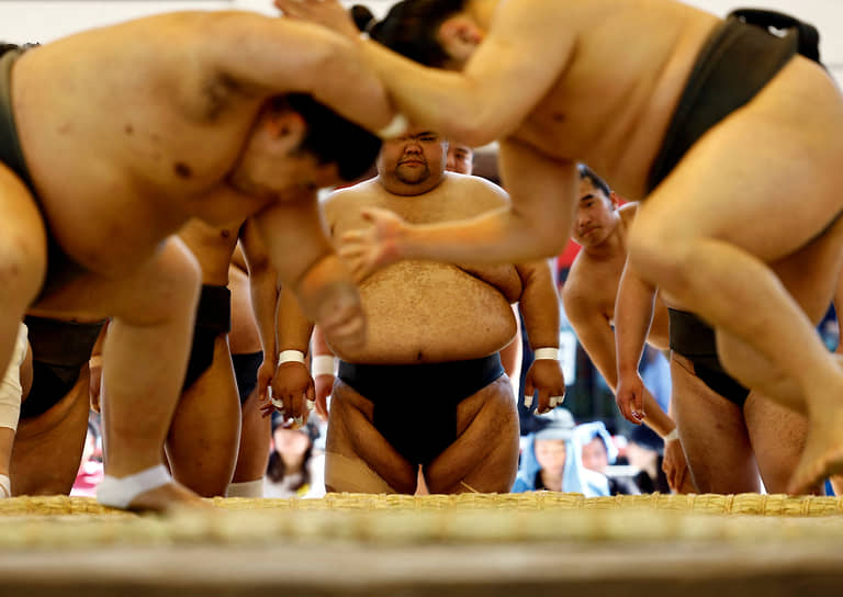 Токио. Тренировка перед турниром по сумо в синтоистском храме Ясукуни