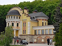 Особняк Дмитрия Аяцкова сдали в ипотеку.