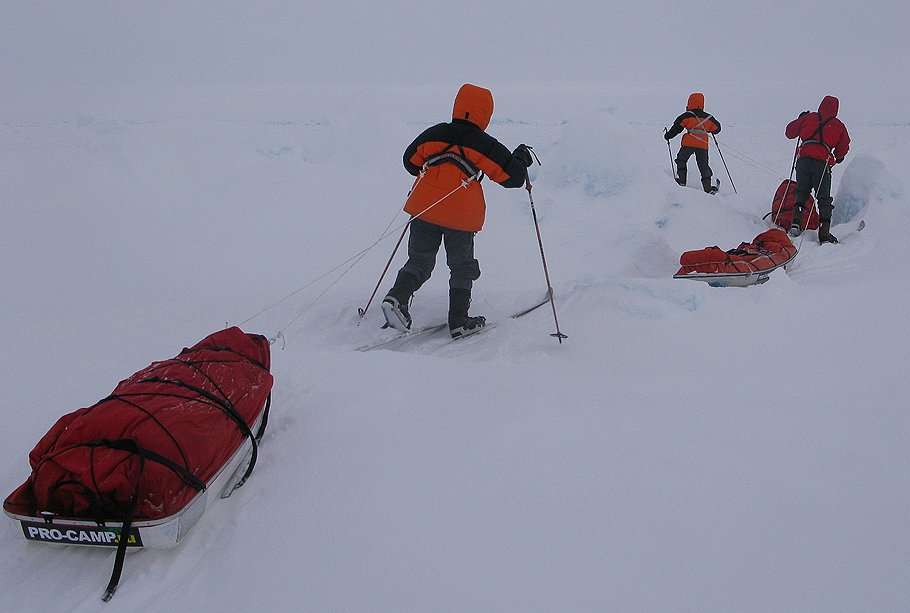 Участники похода на лыжах по Арктике