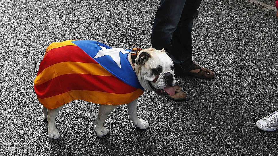 Акция в поддержку независимости была приурочена к празднованию Национального дня Каталонии и прошла под лозунгом &quot;Мы — нация&quot;