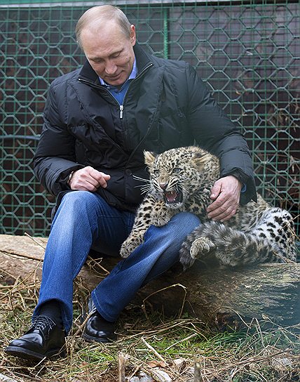 В вольере президент Владимир Путин и леопард Гром остались не один на один, а вдвоем