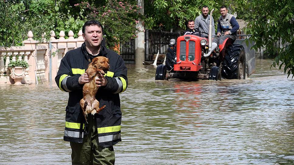 Как экономику Сербии подмыло наводнениями