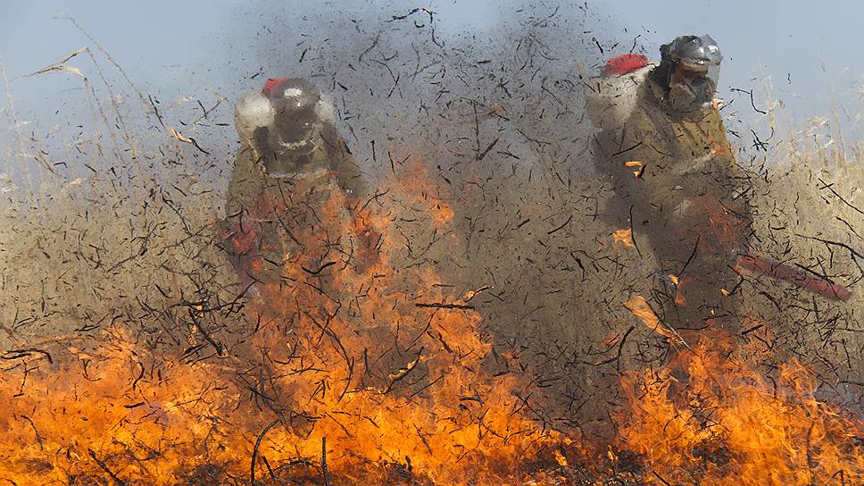 За неудовлетворительную подготовку к тушению лесных пожаров у регионов отберут право тратить деньги на эти цели