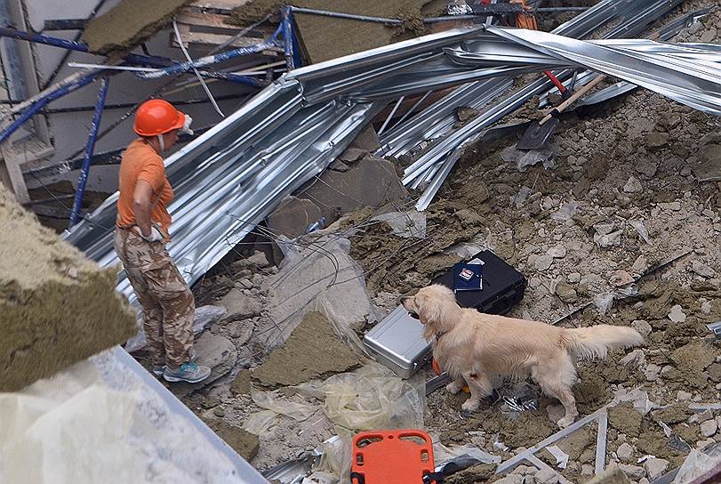 С помощью собак спасатели быстро нашли всех пострадавших в обрушении, а потом разобрали завалы