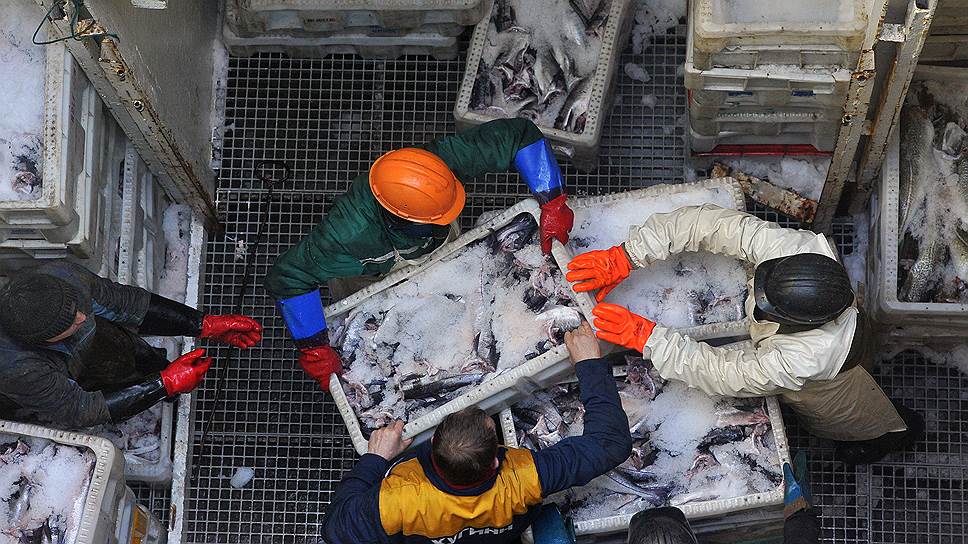 Почему на Дальнем Востоке скопились тонны неотправленной рыбы