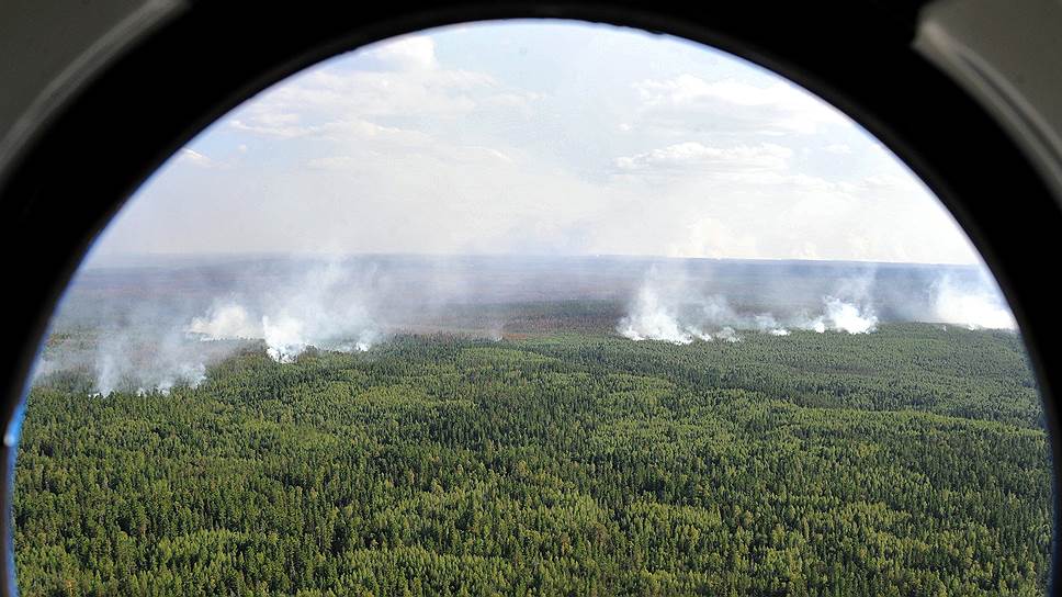 Почему четверть лесов России можно не тушить