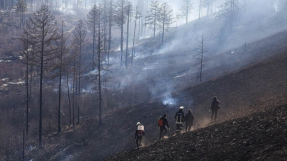 Экологи утверждают, что власти российских регионов оказались не готовы к пожароопасному сезону
