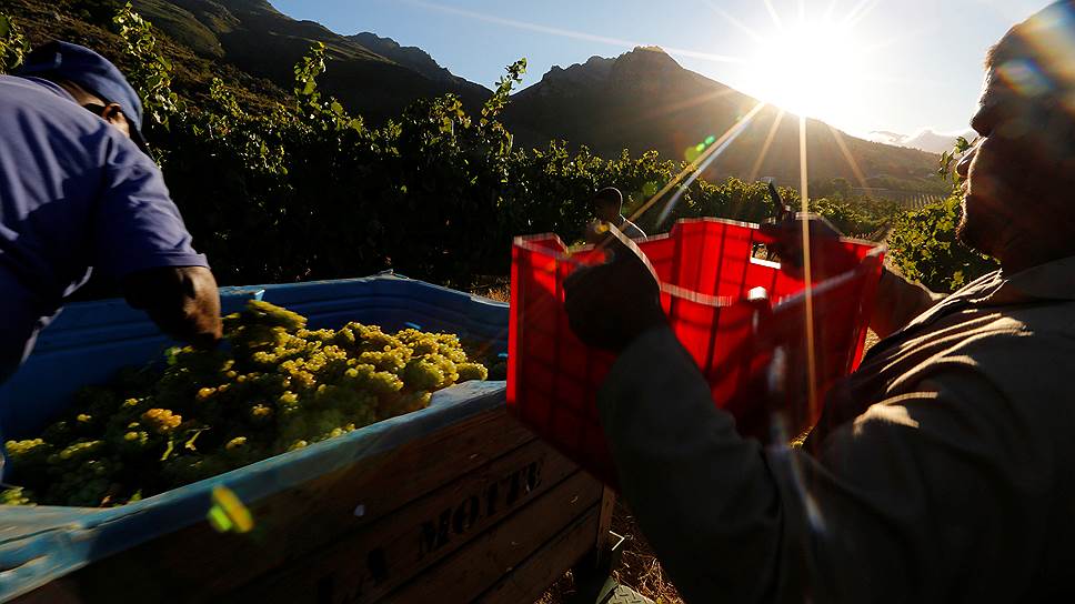 Как изъятие сельхозугодий у белых фермеров в ЮАР может подорвать экономику страны