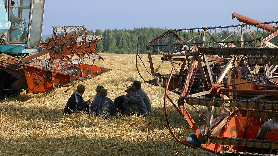 Экспортные цены на российскую пшеницу стабилизировались