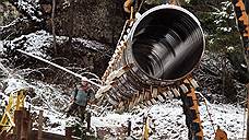 Nord Stream 2 скорректировали в интересах орлана-белохвоста