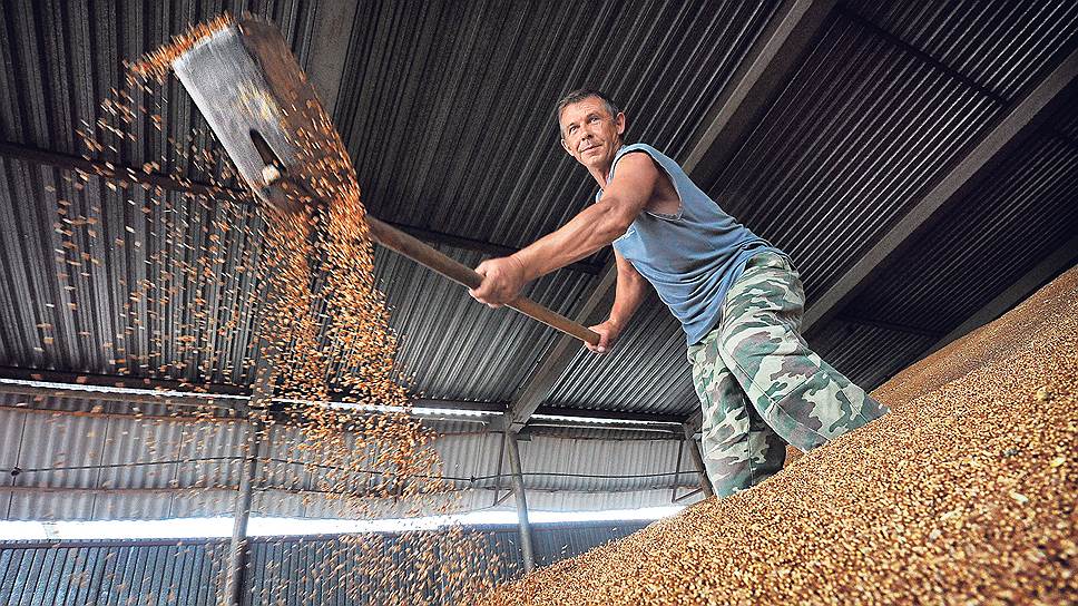 Насколько российский экспорт пшеницы превысит украинский
