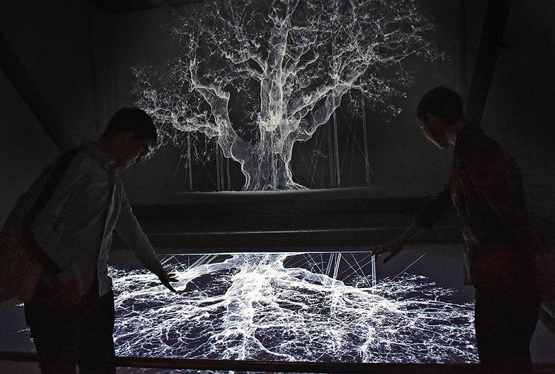 Заглавная работа выставки — зеркально отраженная проекция знаменитого шервудского дуба в Ноттингеме, по преданию служившая укрытием Робин Гуду