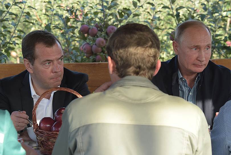 Дмитрий Медведев и Владимир Путин узнали, чего стоит вырастить яблоки
