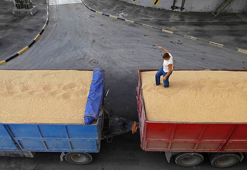 Перевозчики зерна, недовольные низкими тарифами, приготовились устраивать массовые забастовки