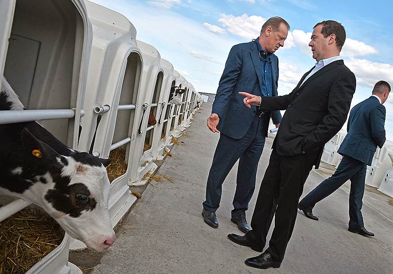 Премьер-министру Дмитрию Медведеву на примере Воронежской области показали, на что могут быть потрачены 2,3 трлн руб., закладываемые Минсельхозом на госпрограмму развития села