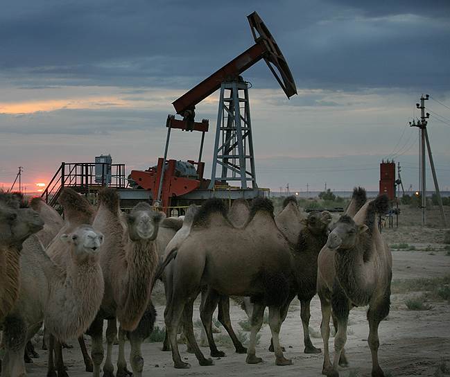 Белоруссия, готовясь к переговорам с Россией по поставкам нефти, подыскивает себе экзотические источники сырья