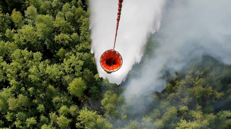Почему экологи не верят в победу над лесными пожарами