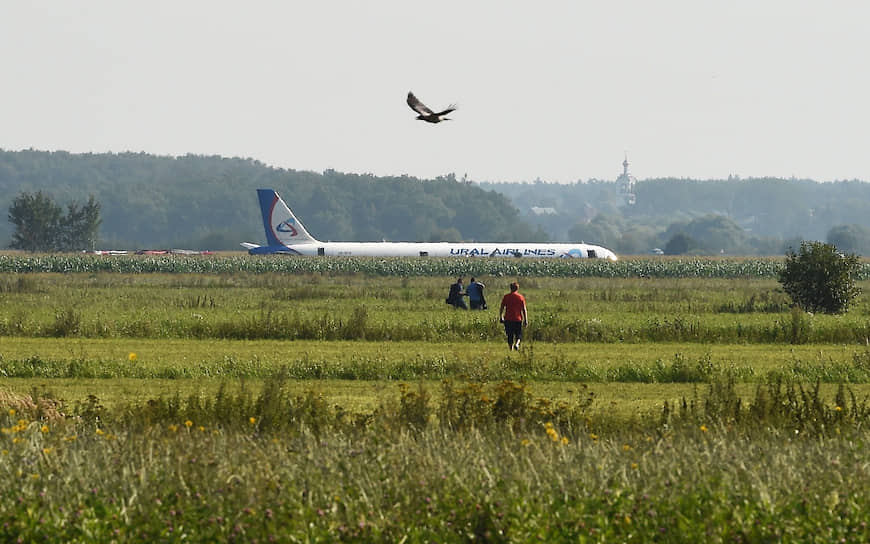 После столкновения со стаей чаек экипаж Airbus совершил экстренную посадку в километре от аэродрома