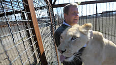 Владелец крымских зоопарков сам попал за решетку