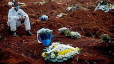 Вирус шарит по Южному полушарию